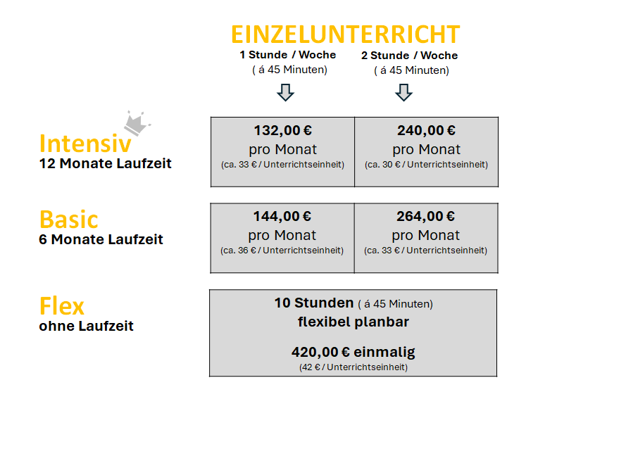 Preise für Einzelunterricht in verschiedenen Varianten: Intensiv, Basic und flexibel.