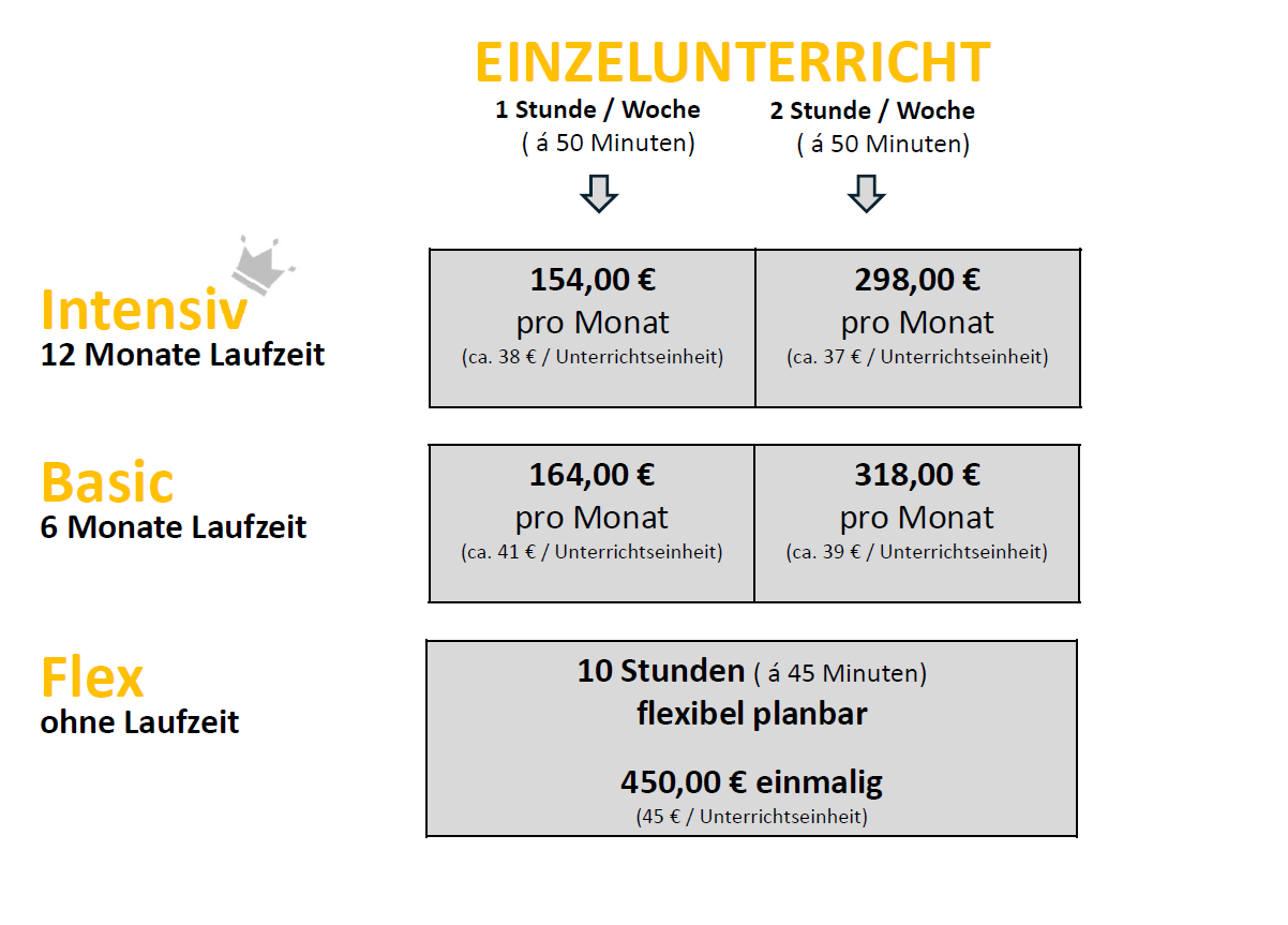 Preise für Einzelunterricht in verschiedenen Varianten: Intensiv, Basic und flexibel.